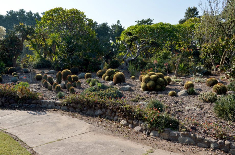 National Cactus and Succulent Botanical Garden and Research Centre, Panchkula, Haryana - Vushii.com